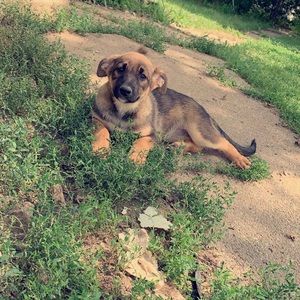 Meet your Posher, Travis